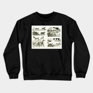 Old English Dog Breeds Crewneck Sweatshirt